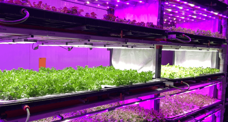 SpectraGrow Solutions